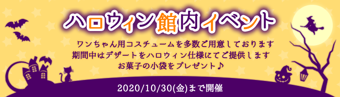 ハロウィン館内イベント