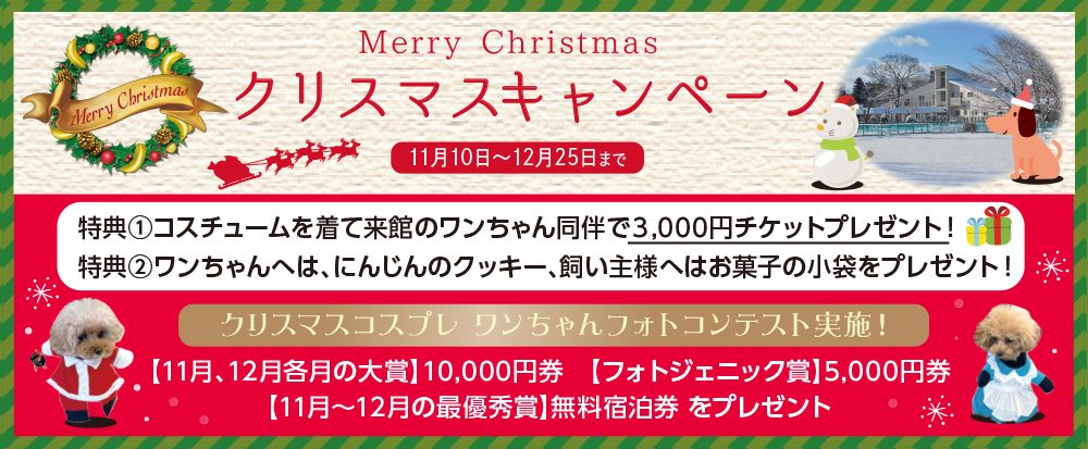クリスマスキャンペーン