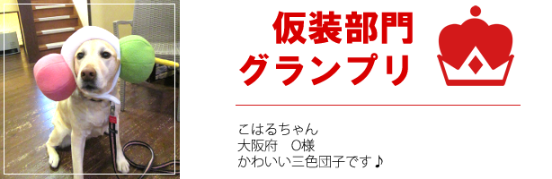 仮装部門グランプリ こはるちゃん
